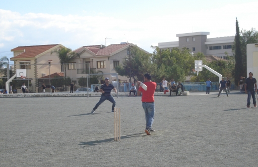 Cricket day
