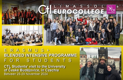 «International change management» - Blended Intensive Programme 